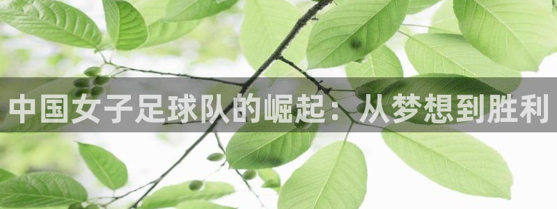 2026年世界杯对阵图:中国女子足球队的崛起:从梦想到胜利