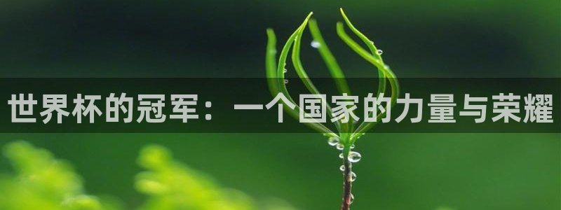 2026世界杯赛制:世界杯的冠军:一个国家的力量与荣耀
