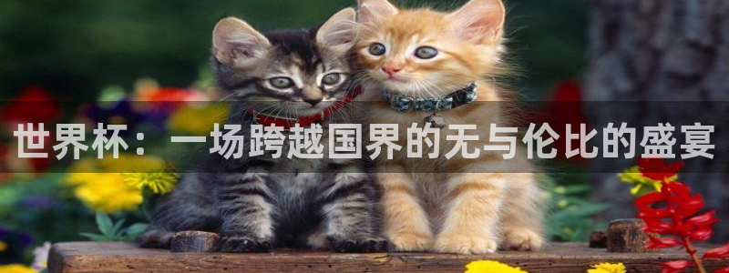 美洲杯直播:世界杯:一场跨越国界的无与伦比的盛宴