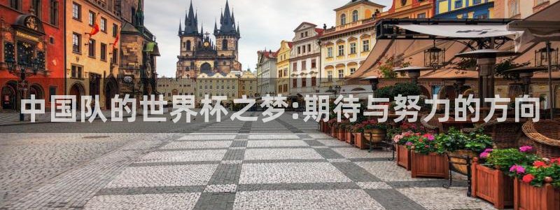 2026世界杯欧洲预选赛赛程表:中国队的世界杯之梦:期待与努力的方向