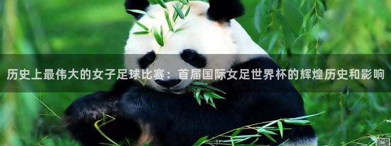 2026葡萄牙杯赛程表:历史上最伟大的女子足球比赛:首届国际女足世界杯的辉煌历史和影响
