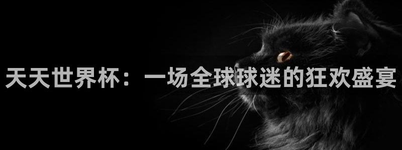 世界杯直播网:天天世界杯:一场全球球迷的狂欢盛宴