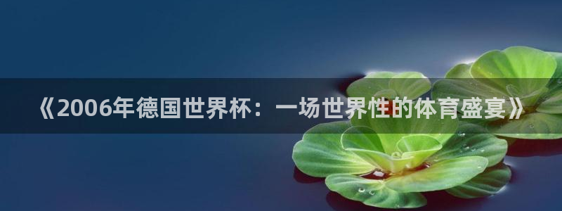 世界杯对阵表:《2006年德国世界杯:一场世界性的体育盛宴》