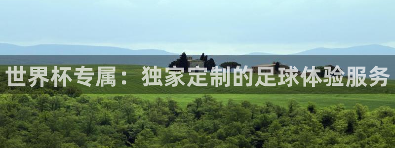 2026世界杯中国队:世界杯专属:独家定制的足球体验服务